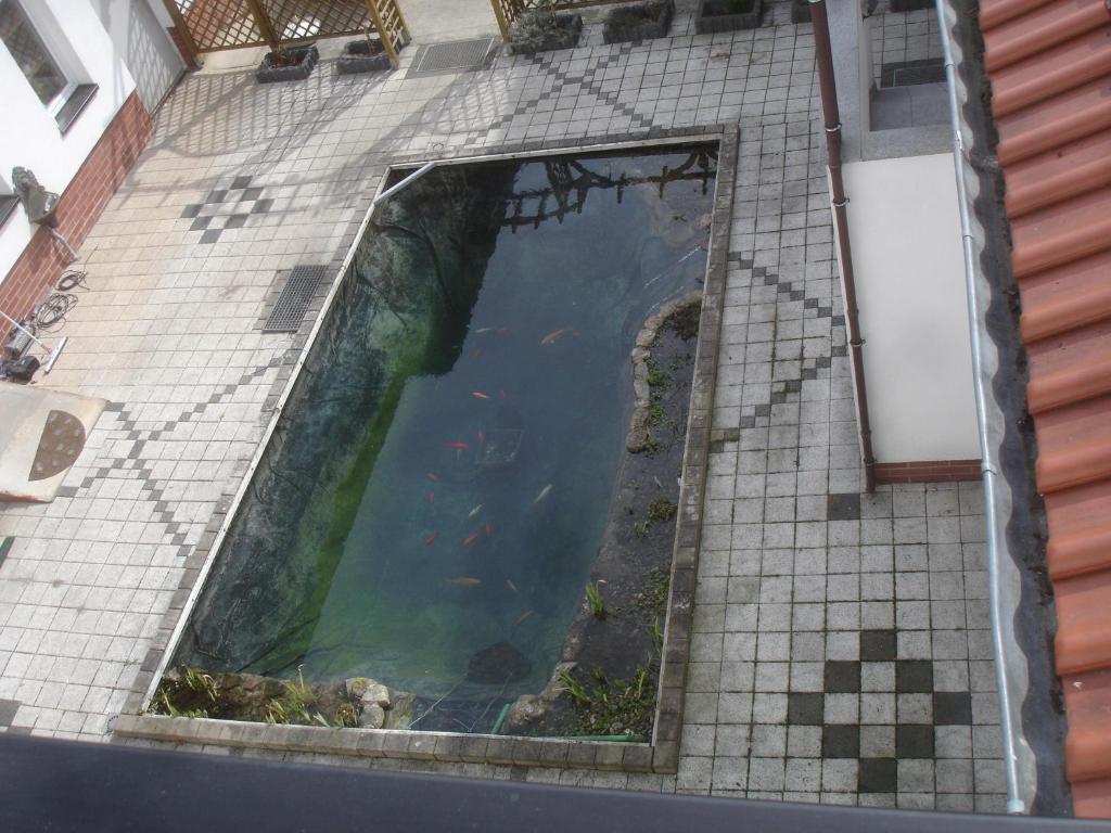 Timmenrode Harzer Ferienpension מראה חיצוני תמונה